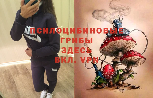 твердый Алзамай