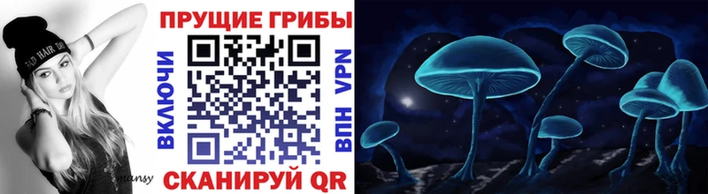 Псилоцибиновые грибы Magic Shrooms  Цимлянск 